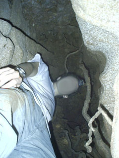 Root Room